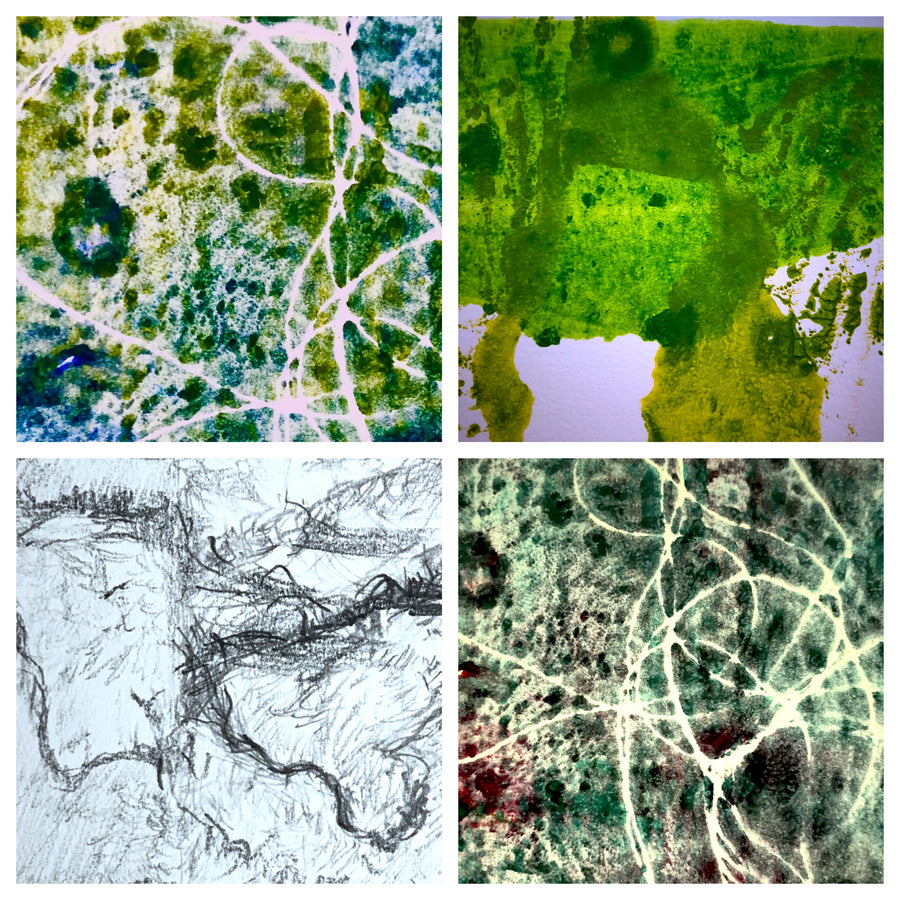 A Saltmarsh Collaboration