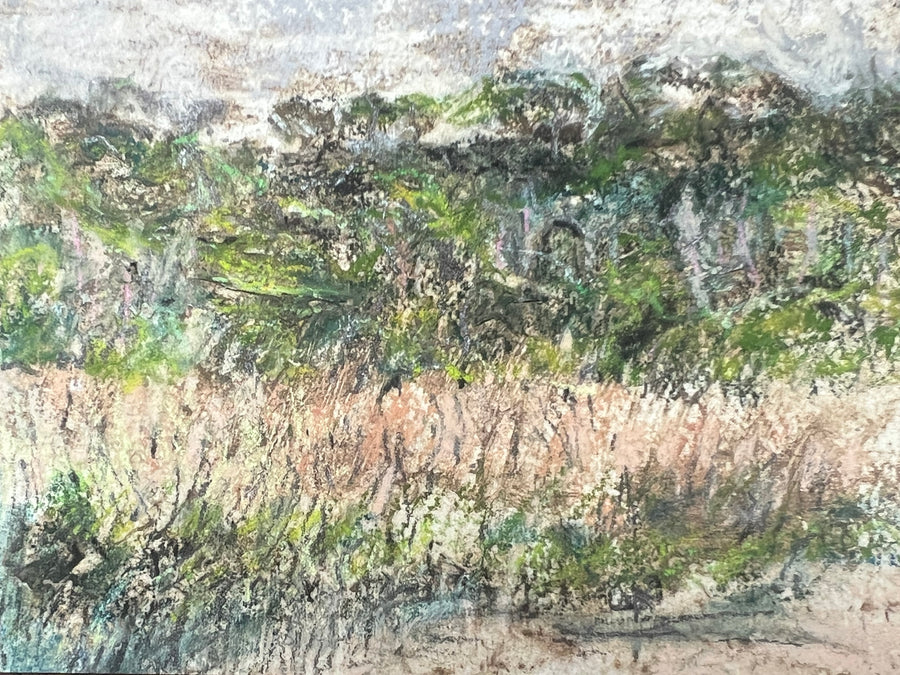 Glimpse across the Dart