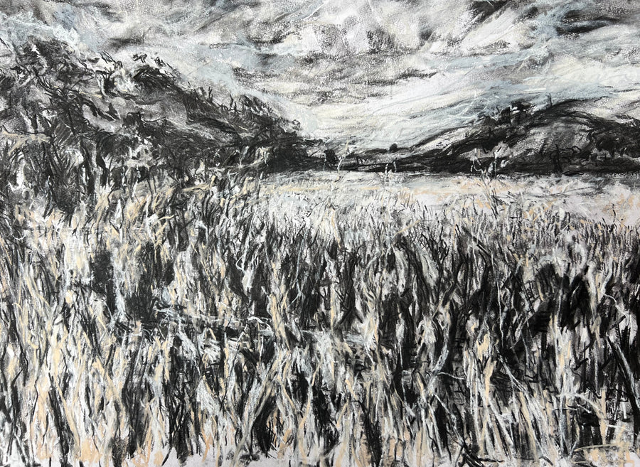 View from the Saltmarsh