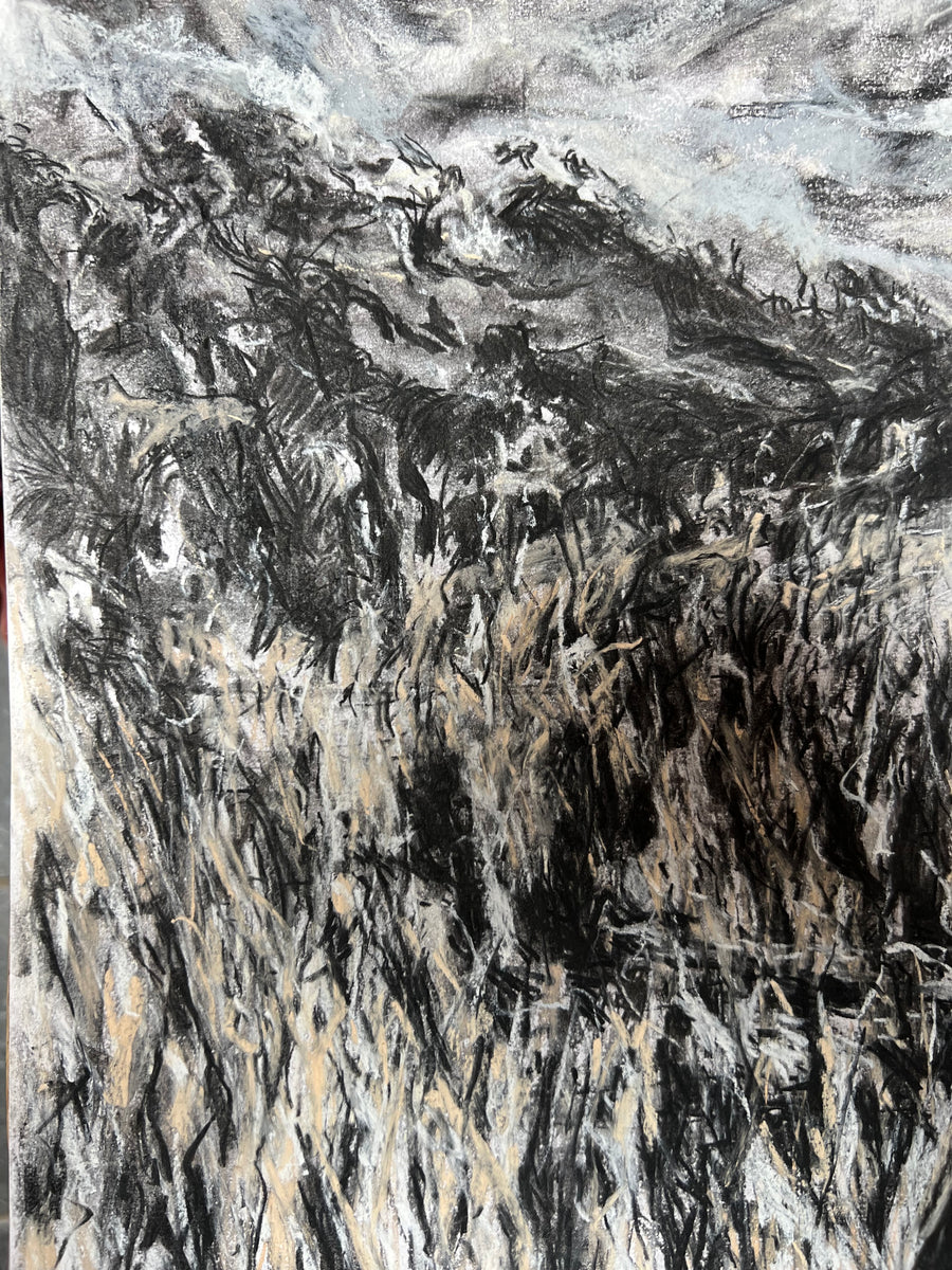 View from the Saltmarsh