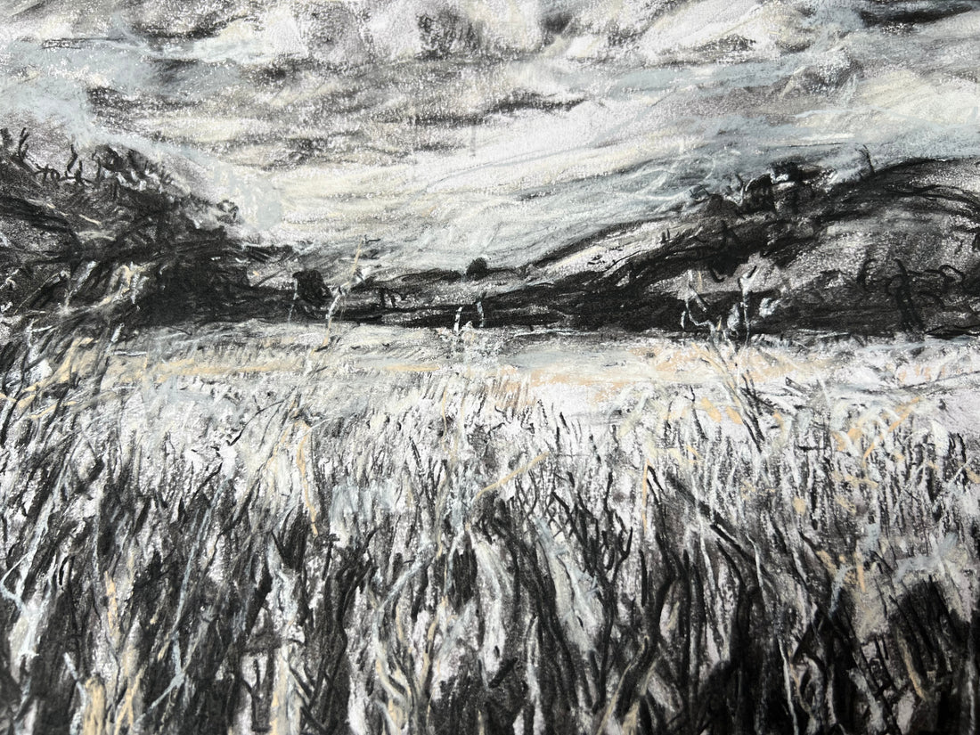 View from the Saltmarsh
