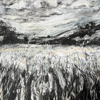 View from the Saltmarsh