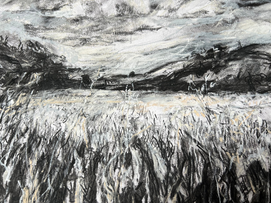 View from the Saltmarsh