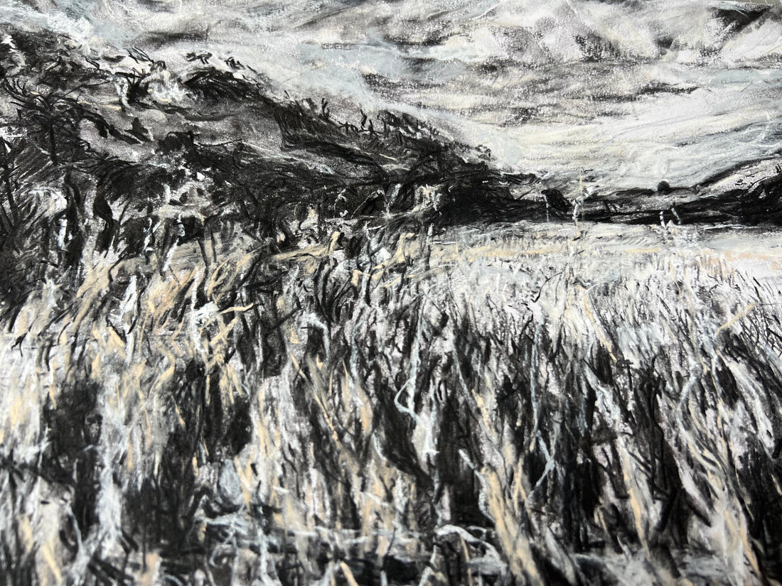 View from the Saltmarsh