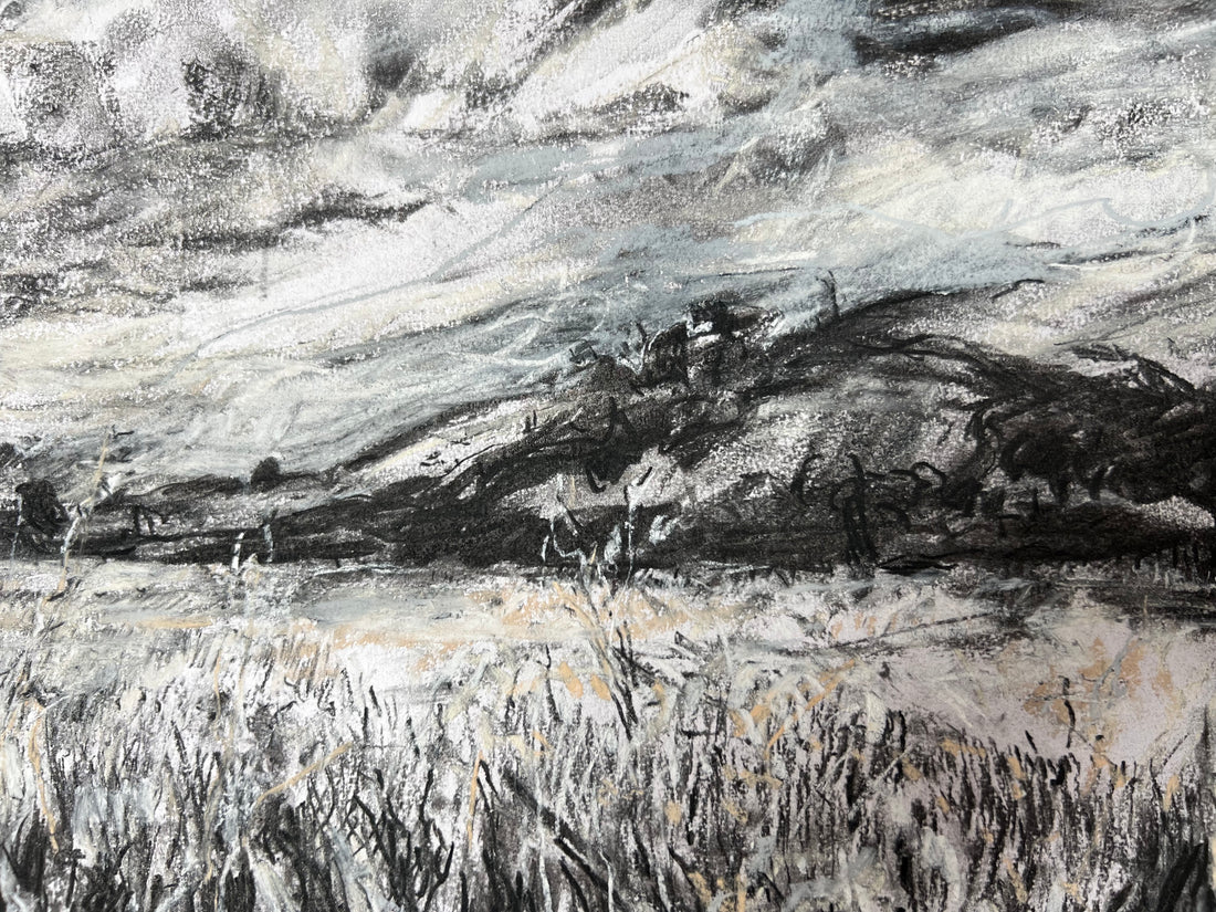View from the Saltmarsh