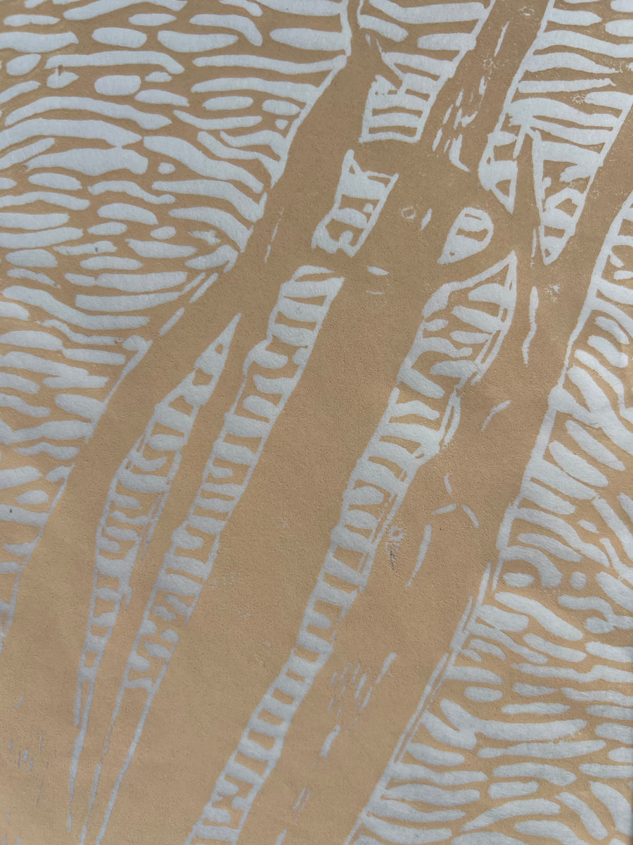 Reedbeds on Kozo