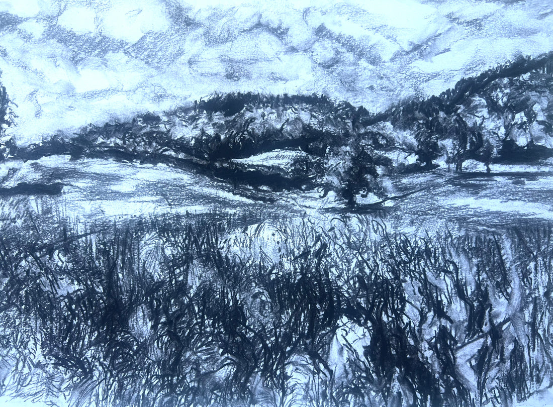 “Summer Meadows at Canonteign”.