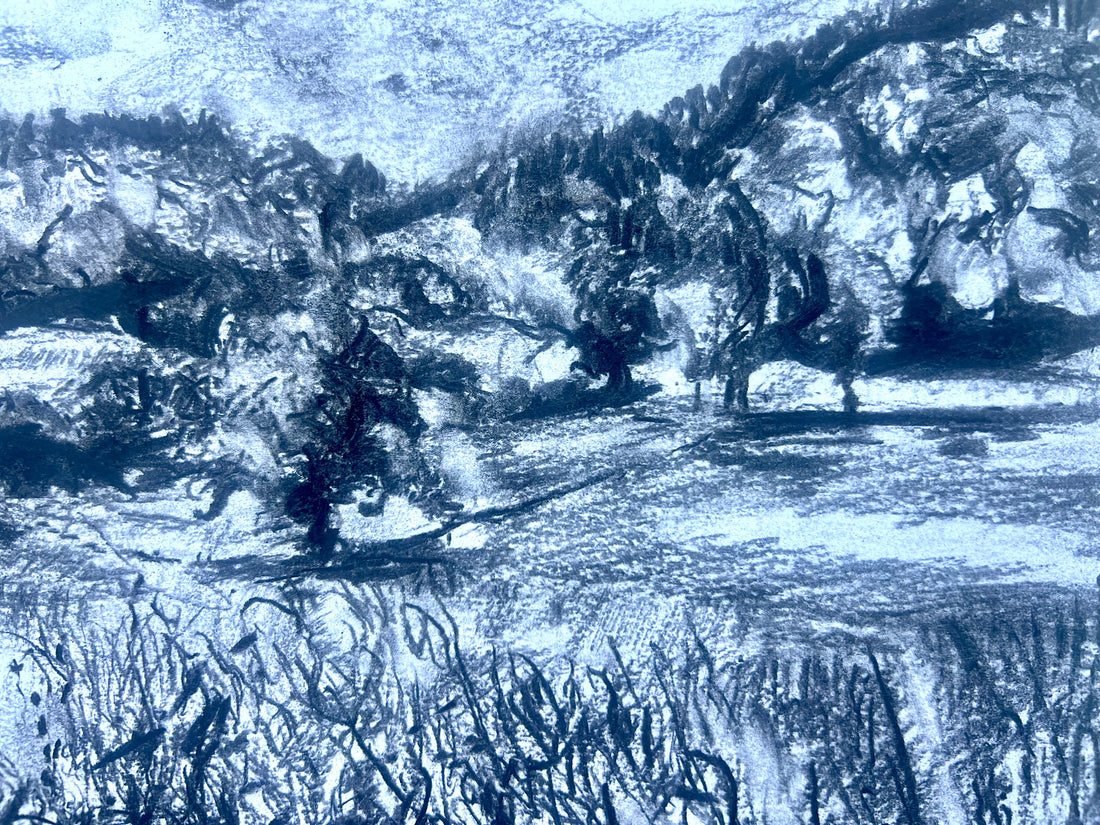 “Summer Meadows at Canonteign”.