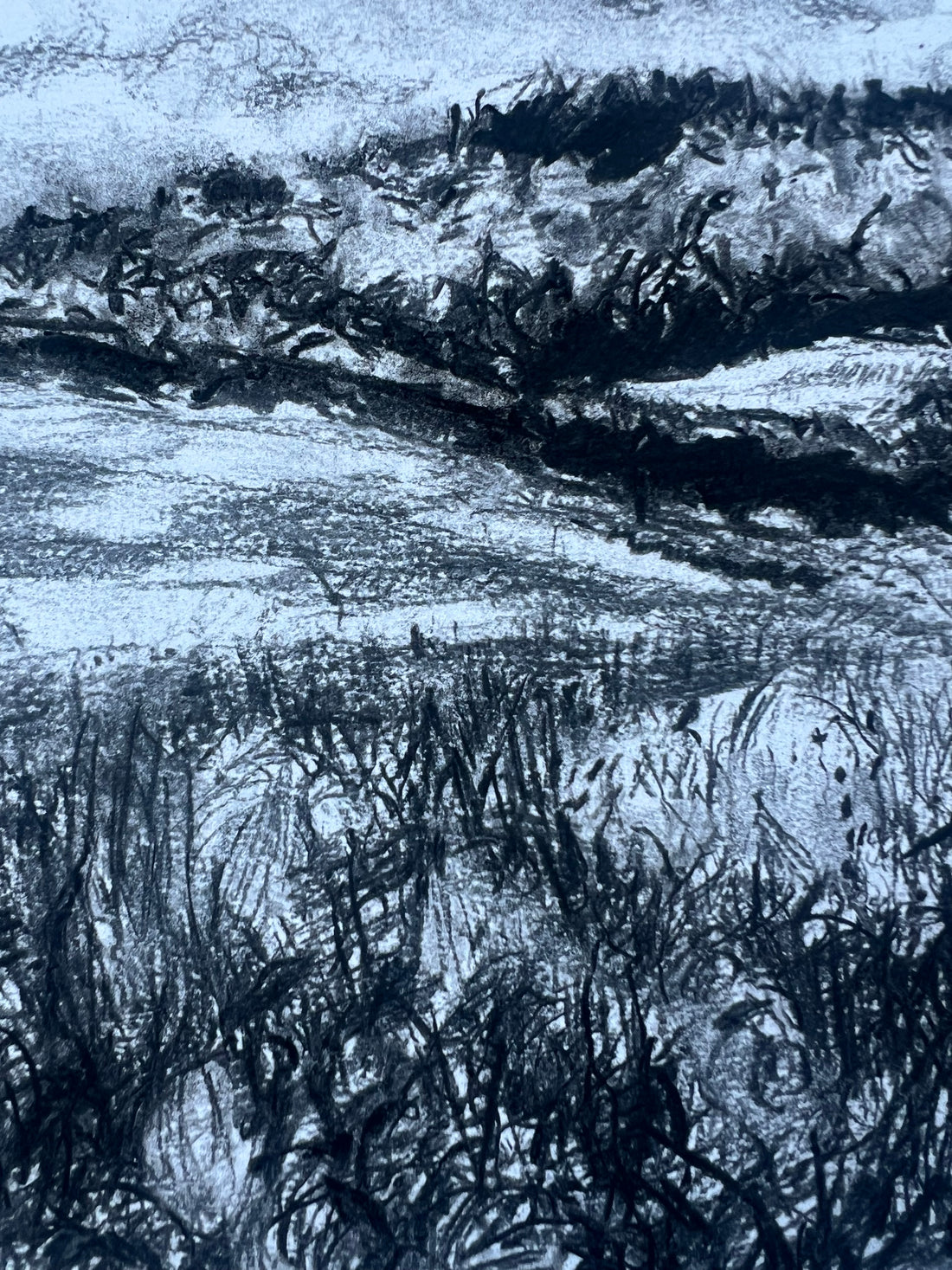 “Summer Meadows at Canonteign”.