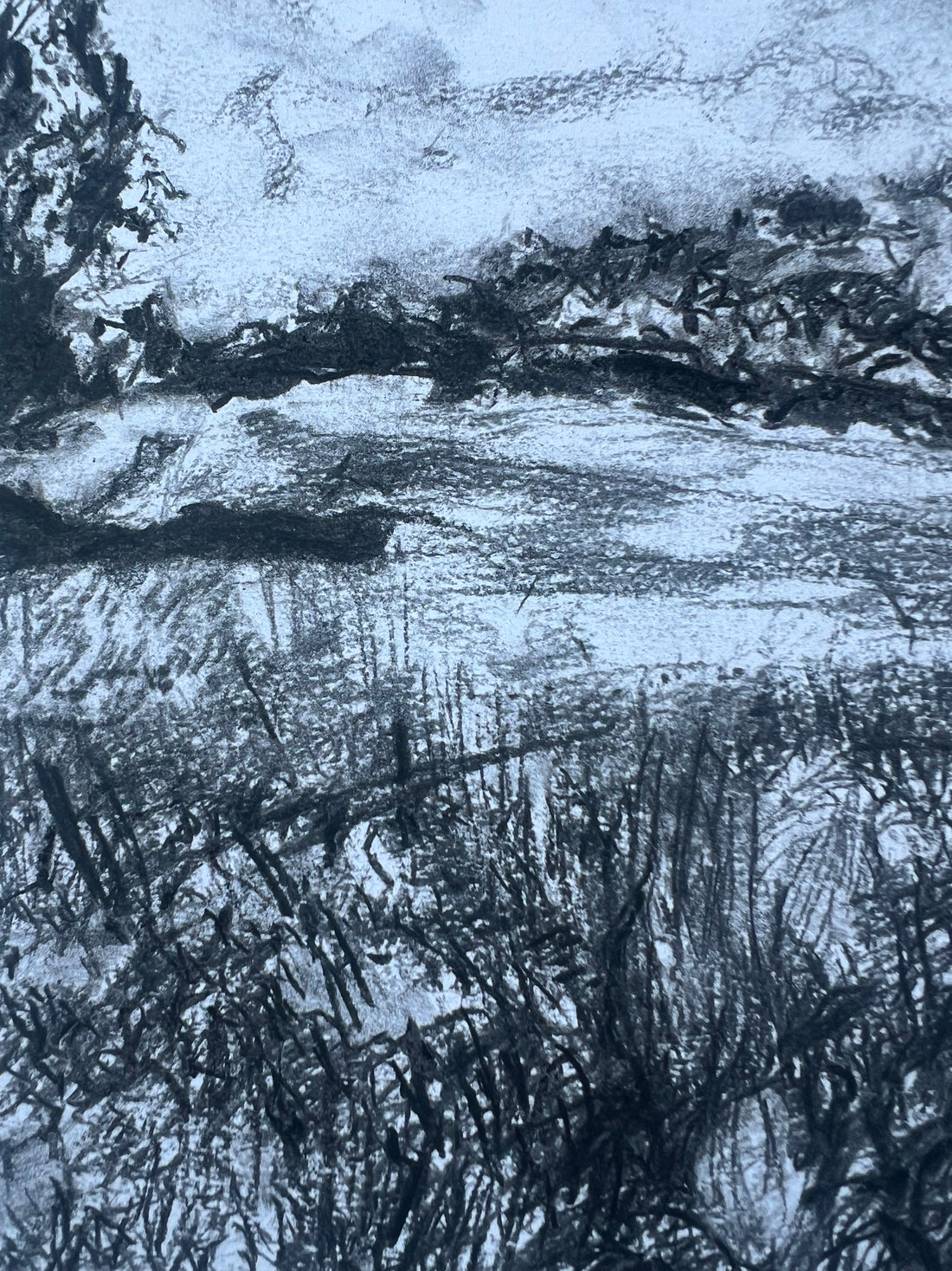 “Summer Meadows at Canonteign”.