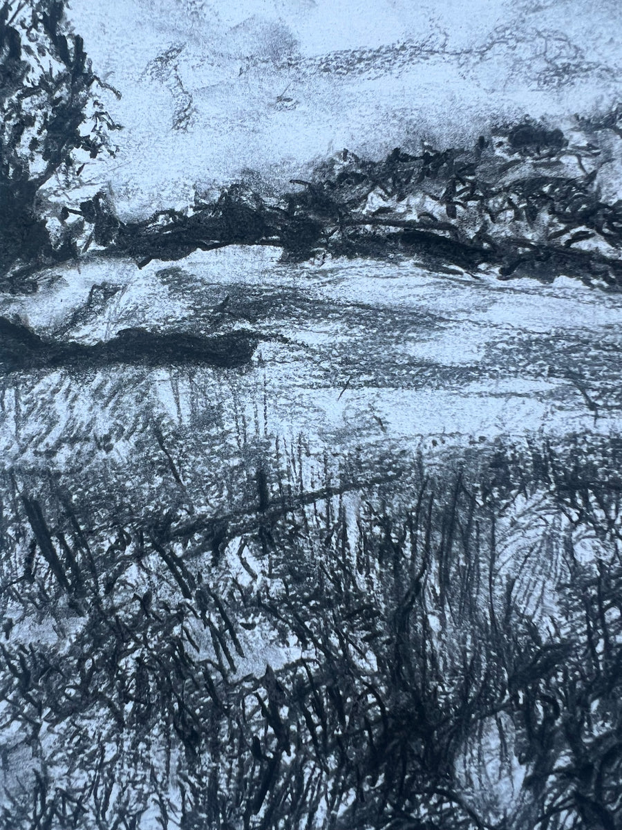 “Summer Meadows at Canonteign”.
