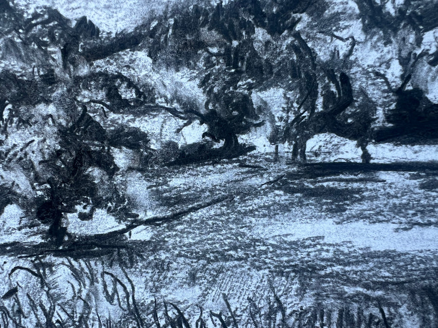 “Summer Meadows at Canonteign”.