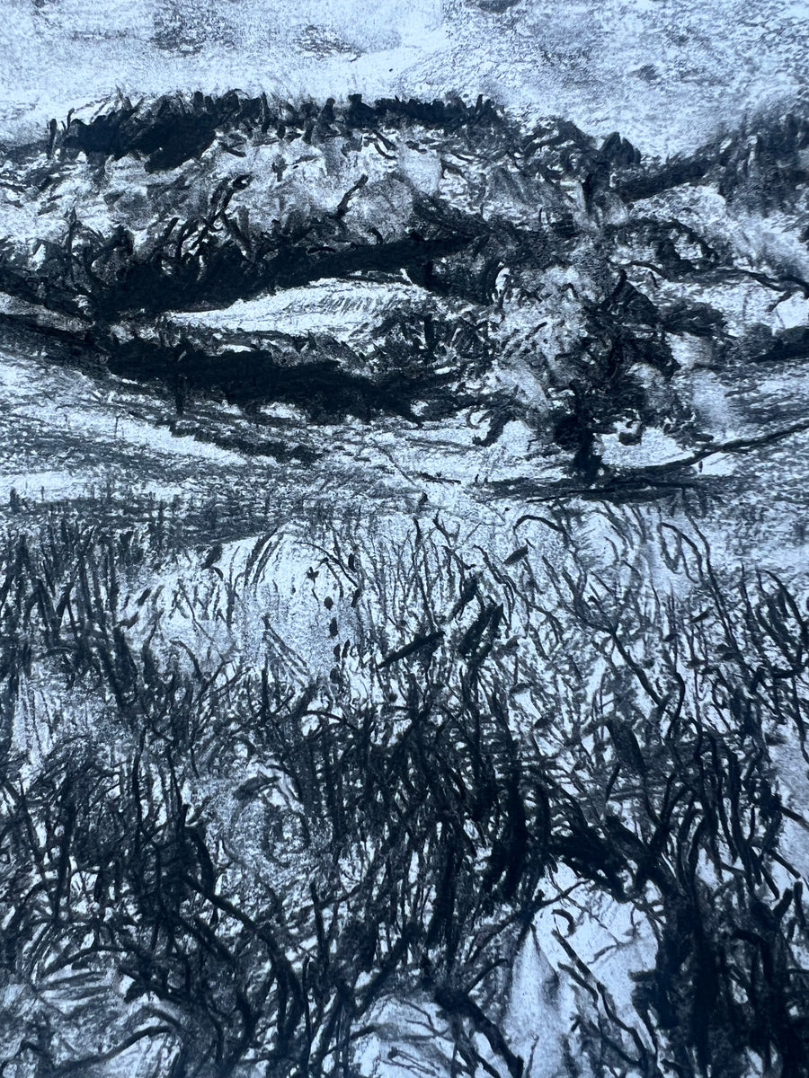 “Summer Meadows at Canonteign”.