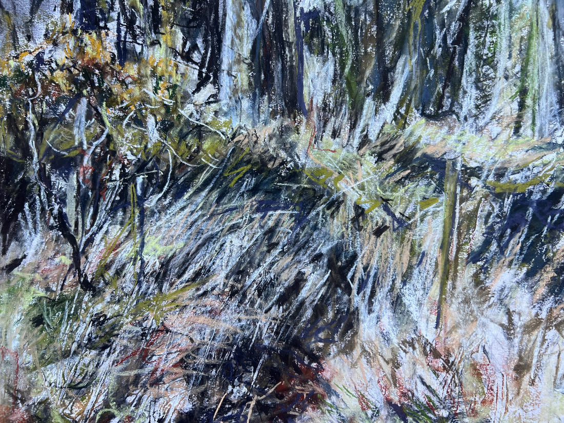 Primavera, Dartmoor.