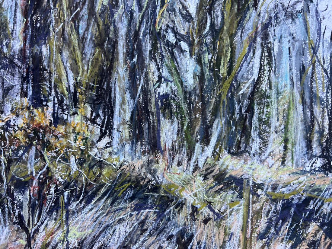 Primavera, Dartmoor.