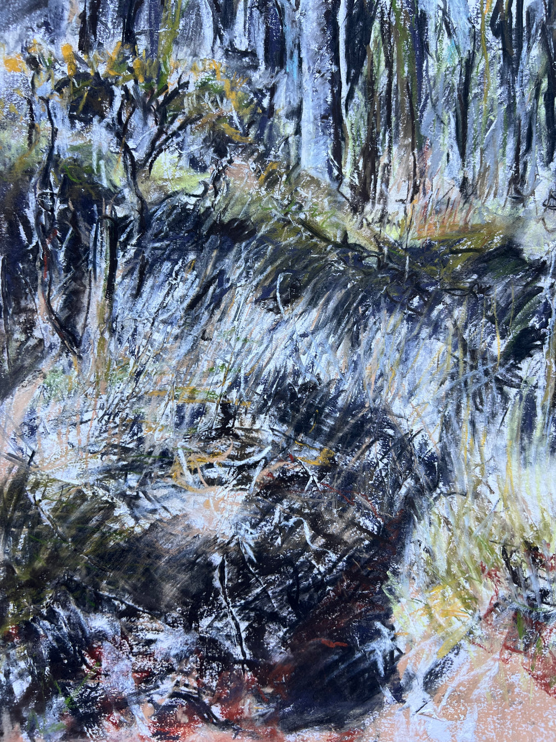 Woodland Kiss, Dartmoor.