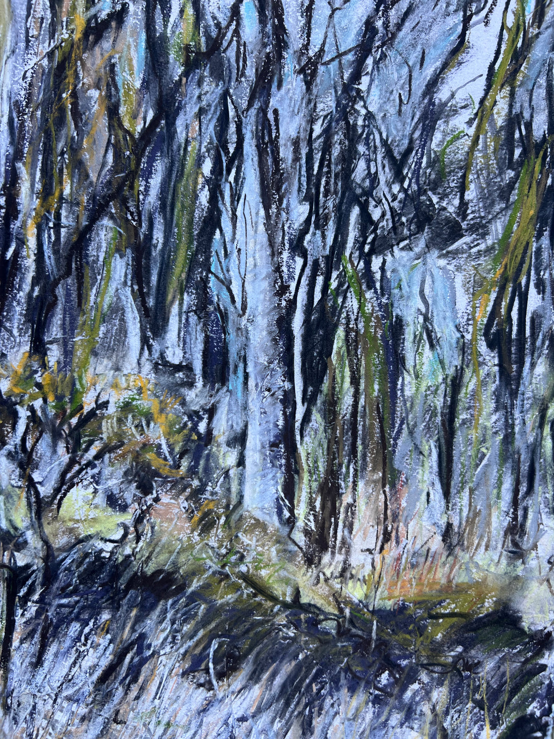 Woodland Kiss, Dartmoor.