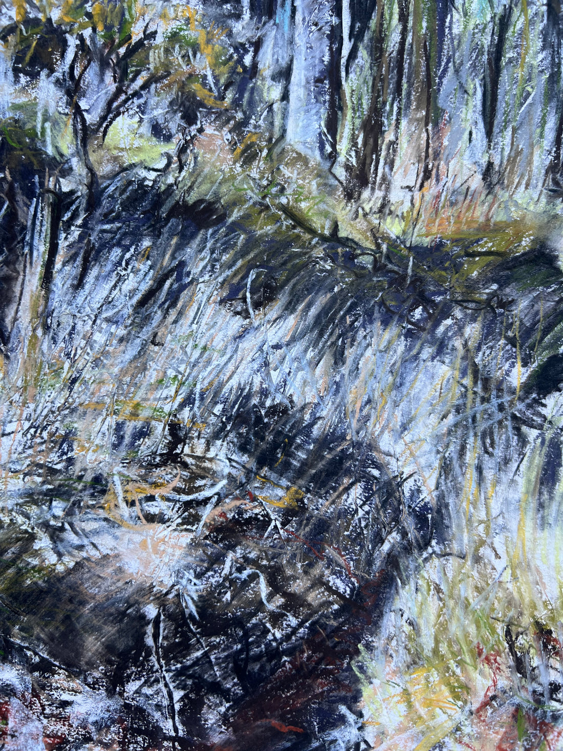 Woodland Kiss, Dartmoor.