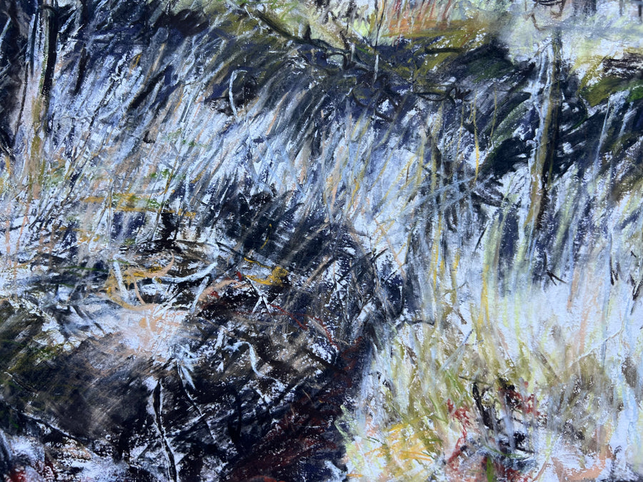 Woodland Kiss, Dartmoor.