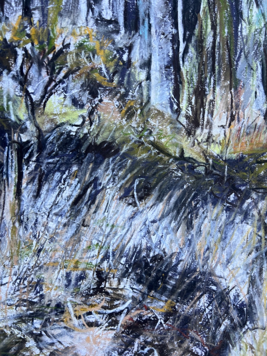 Woodland Kiss, Dartmoor.