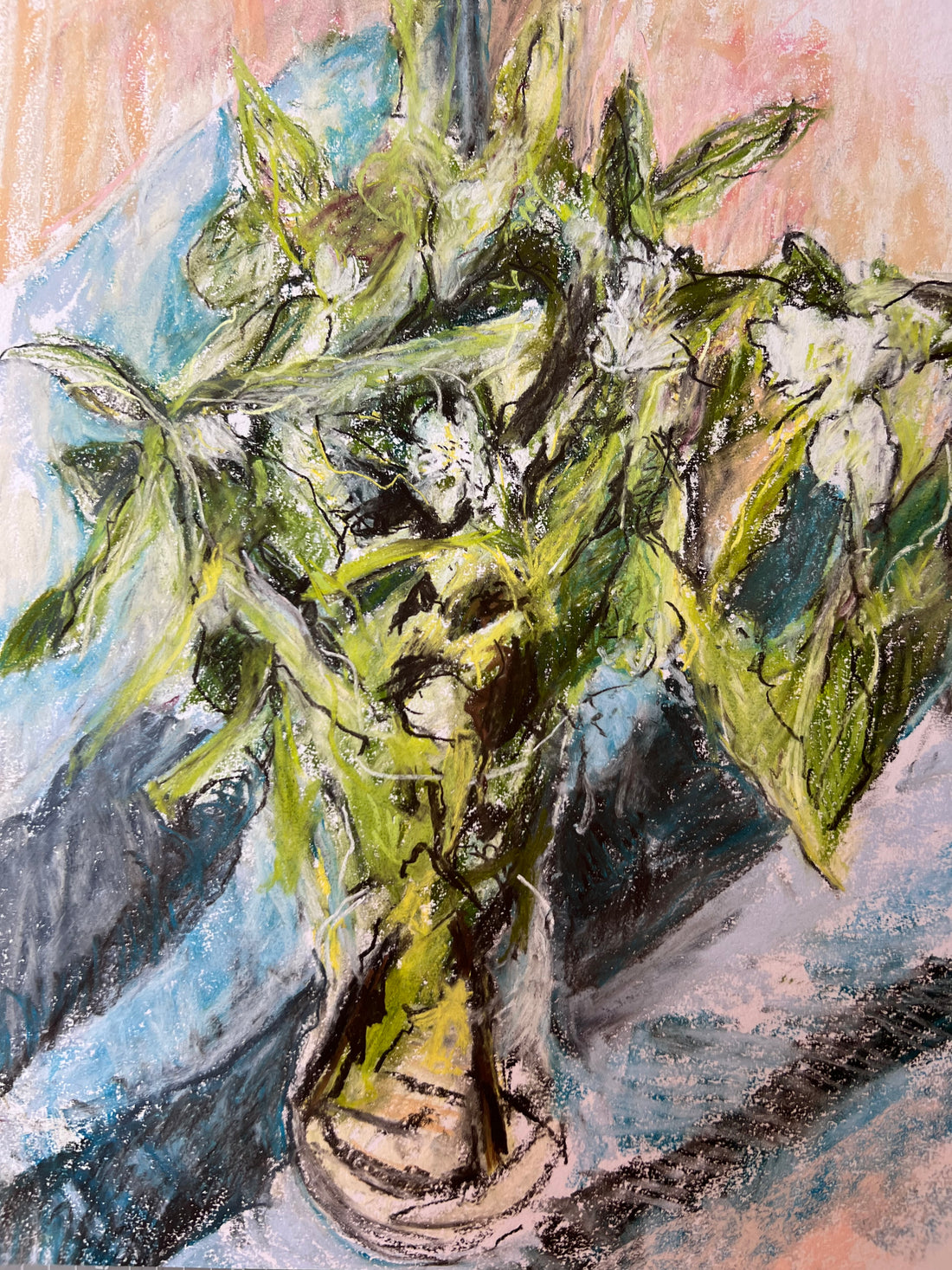 “May Medlars”.