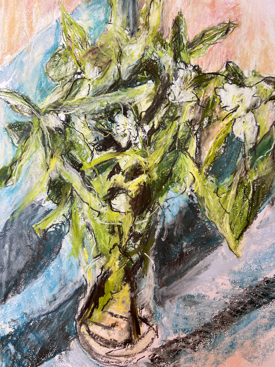 “May Medlars”.