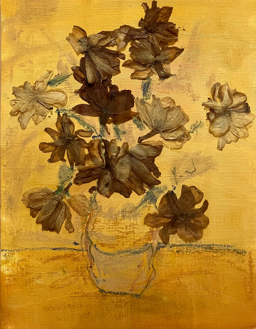 Dried Daffodils