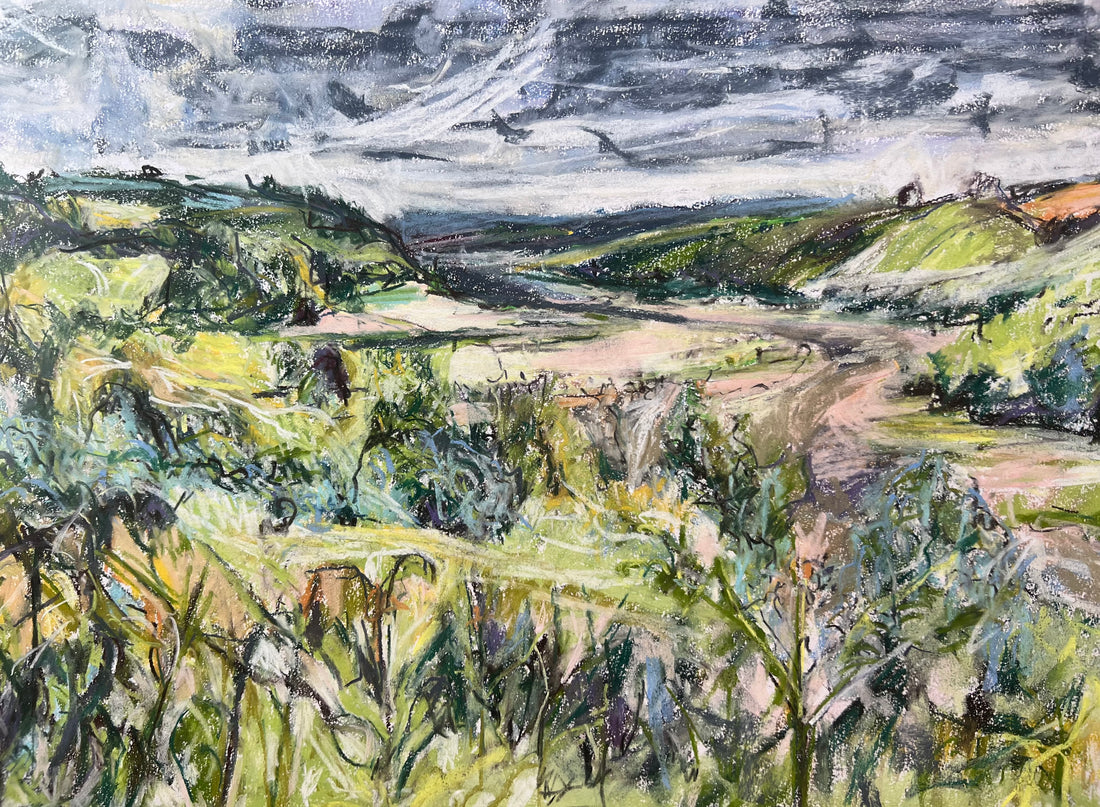 Sharpham to Totnes , Summer.