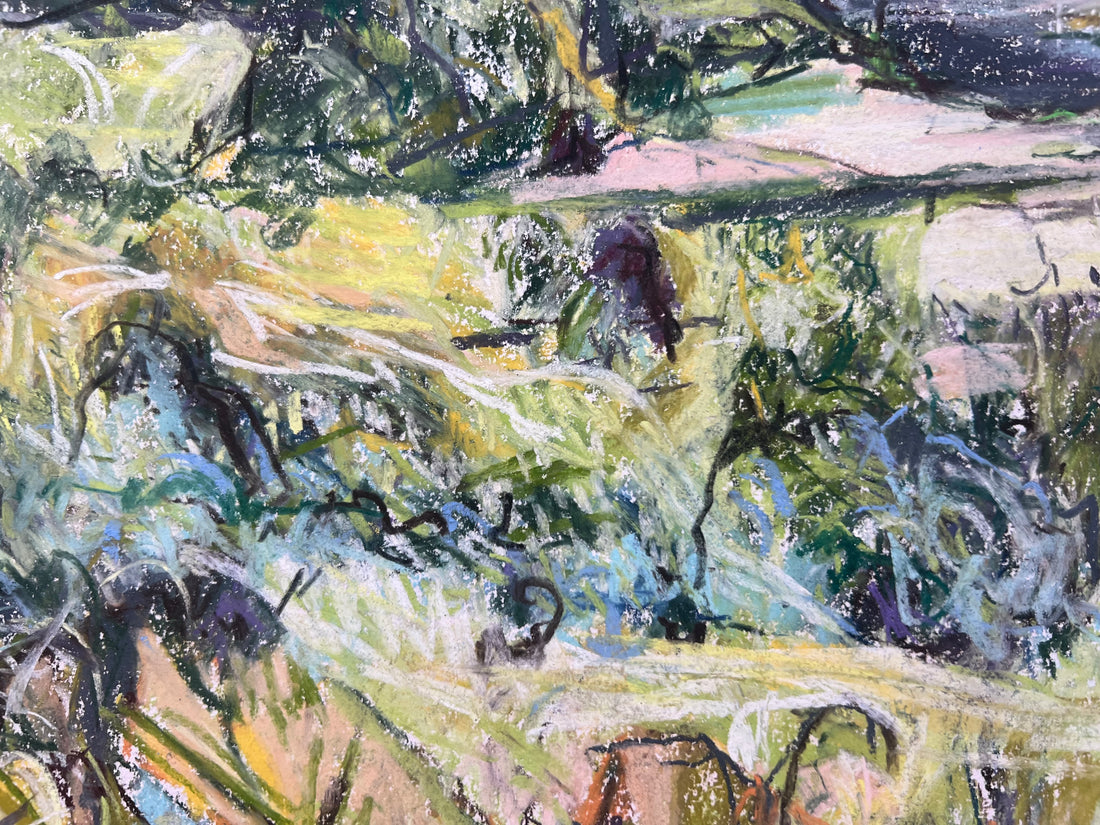 Sharpham to Totnes , Summer.
