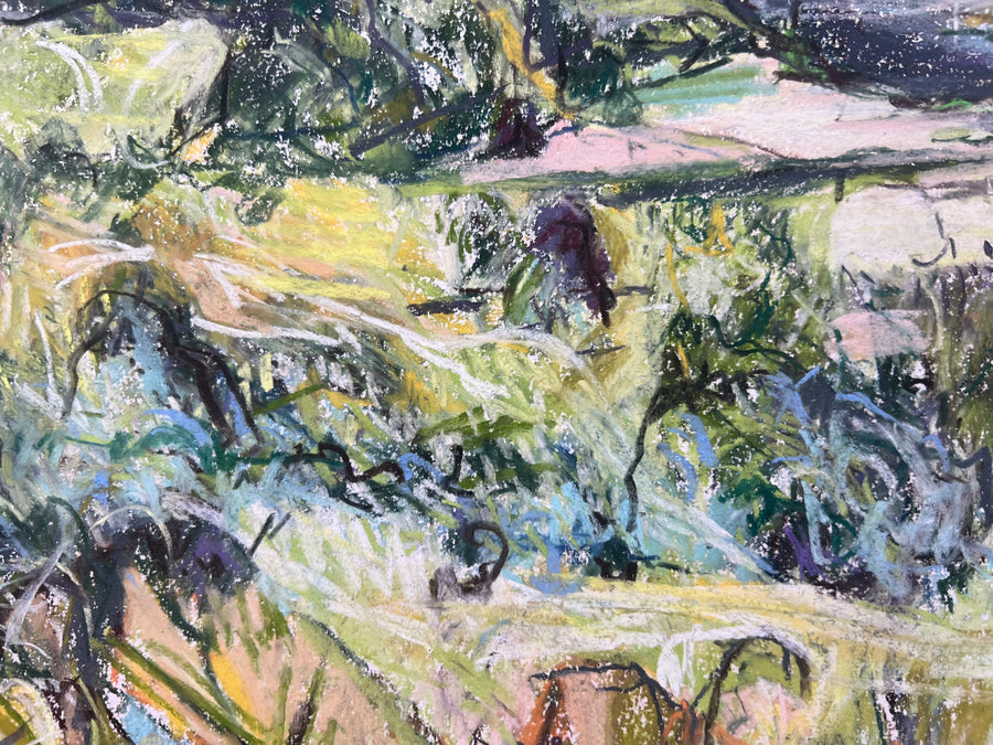 Sharpham to Totnes , Summer.