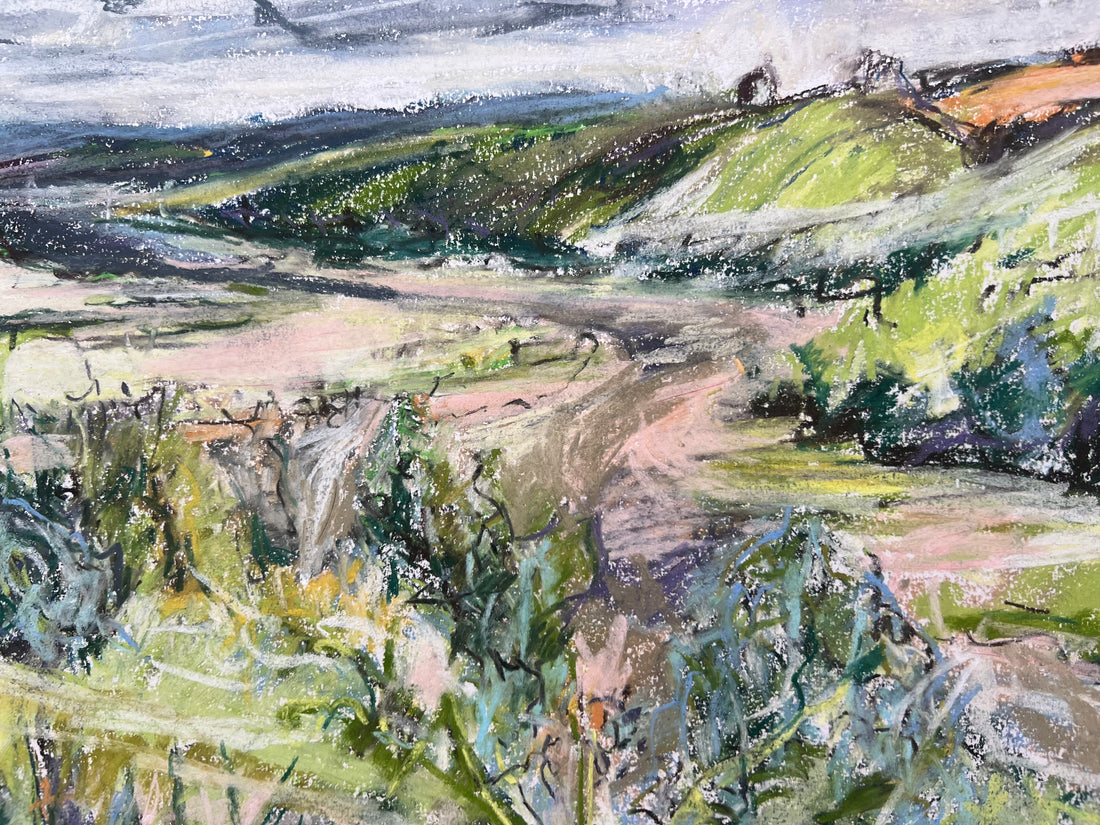 Sharpham to Totnes , Summer.