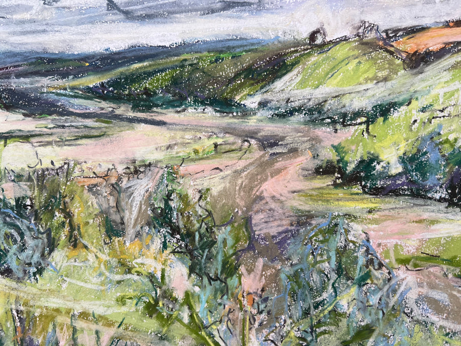 Sharpham to Totnes , Summer.