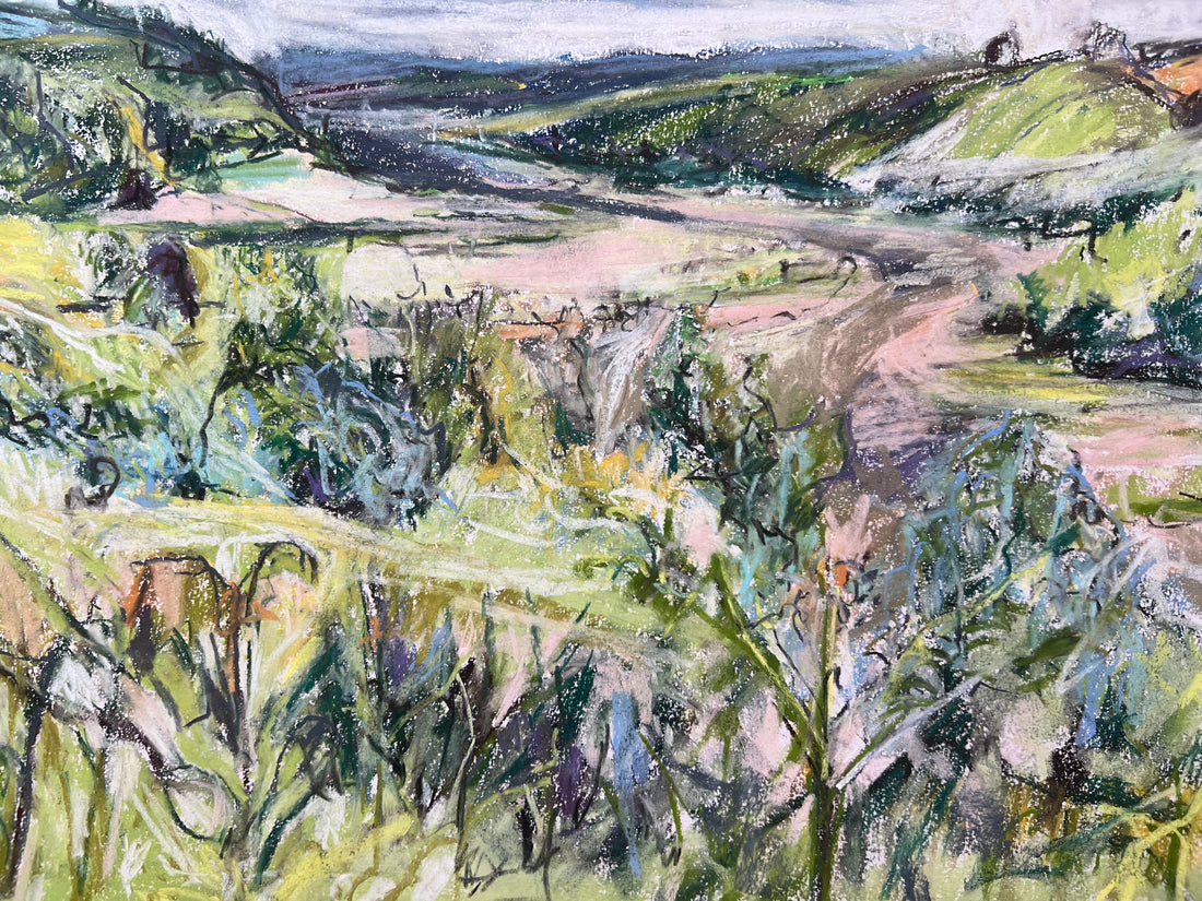 Sharpham to Totnes , Summer.