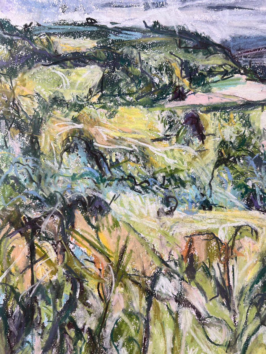 Sharpham to Totnes , Summer.