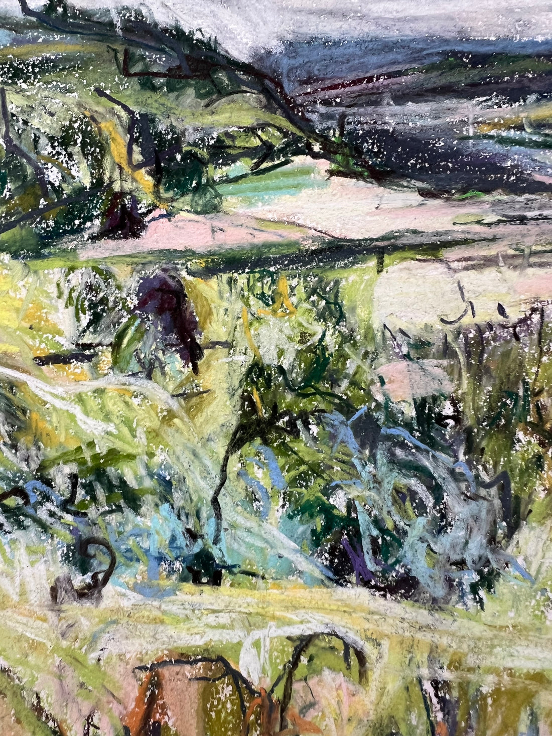 Sharpham to Totnes , Summer.