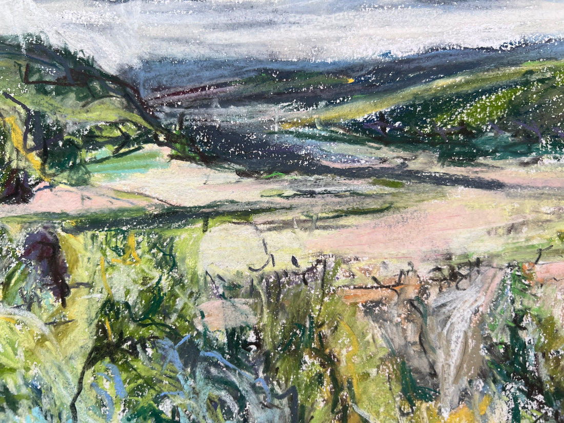 Sharpham to Totnes , Summer.