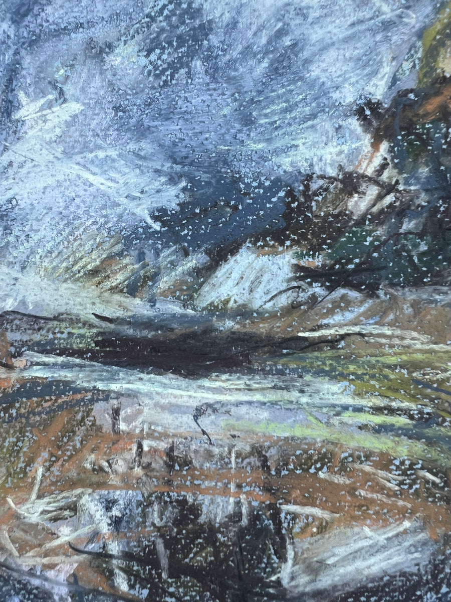 Wet day in the woods, Dartington.