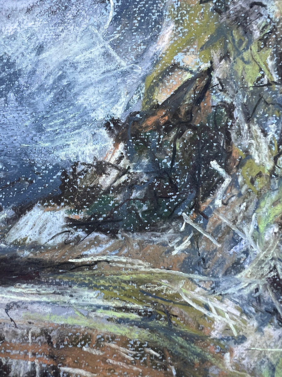 Wet day in the woods, Dartington.