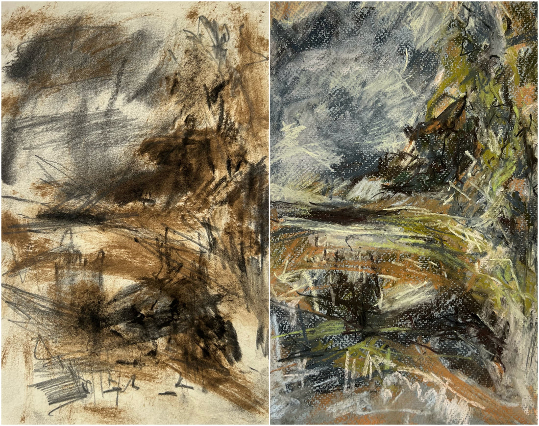 Wet day in the woods, Dartington.