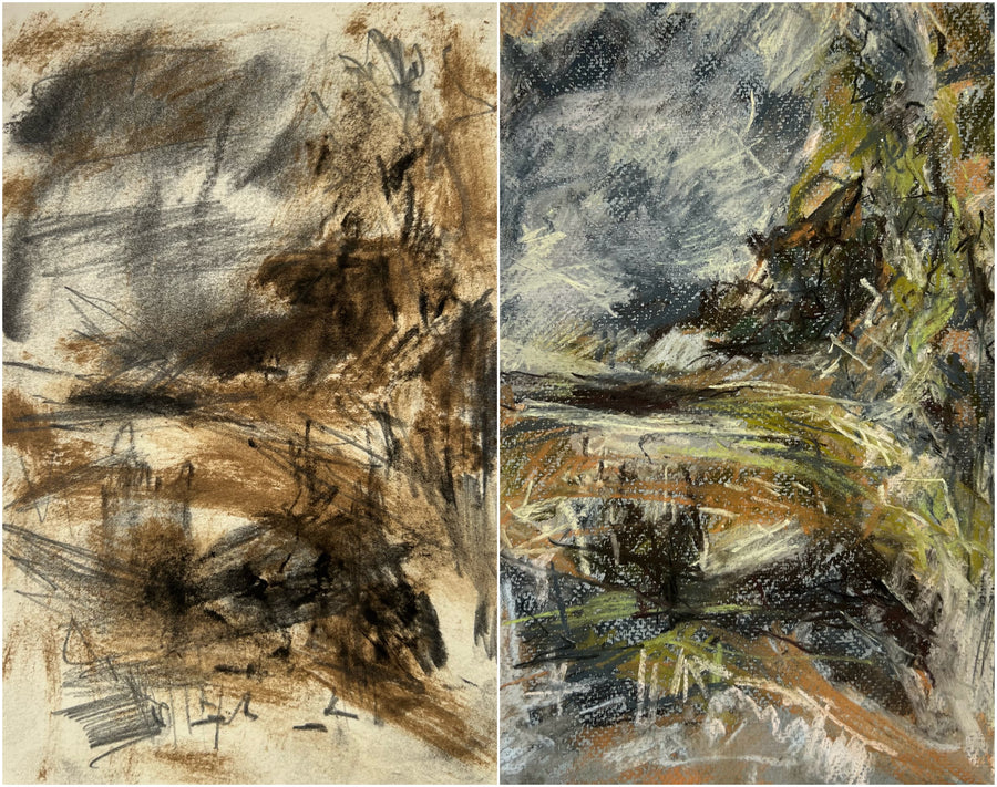 Wet day in the woods, Dartington.