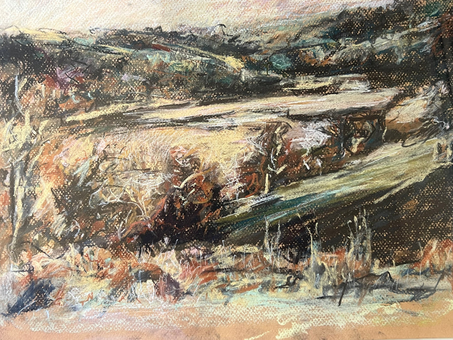 Frost over the Saltmarsh.