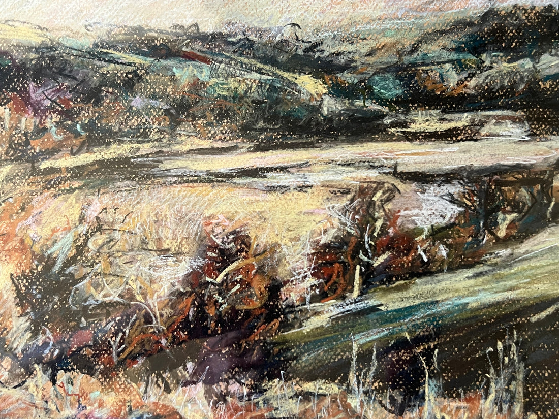 Frost over the Saltmarsh.