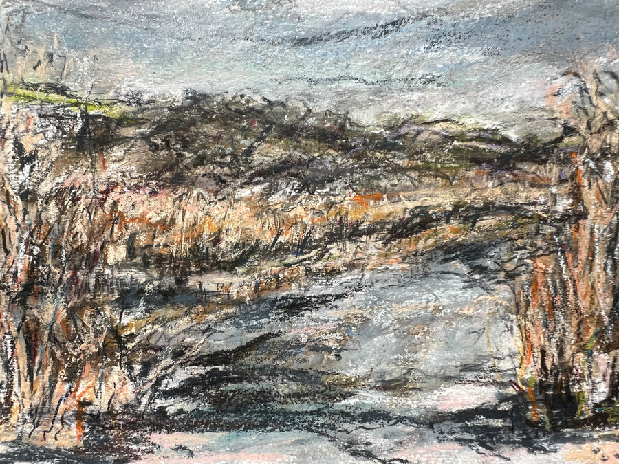 Midwinter Marsh