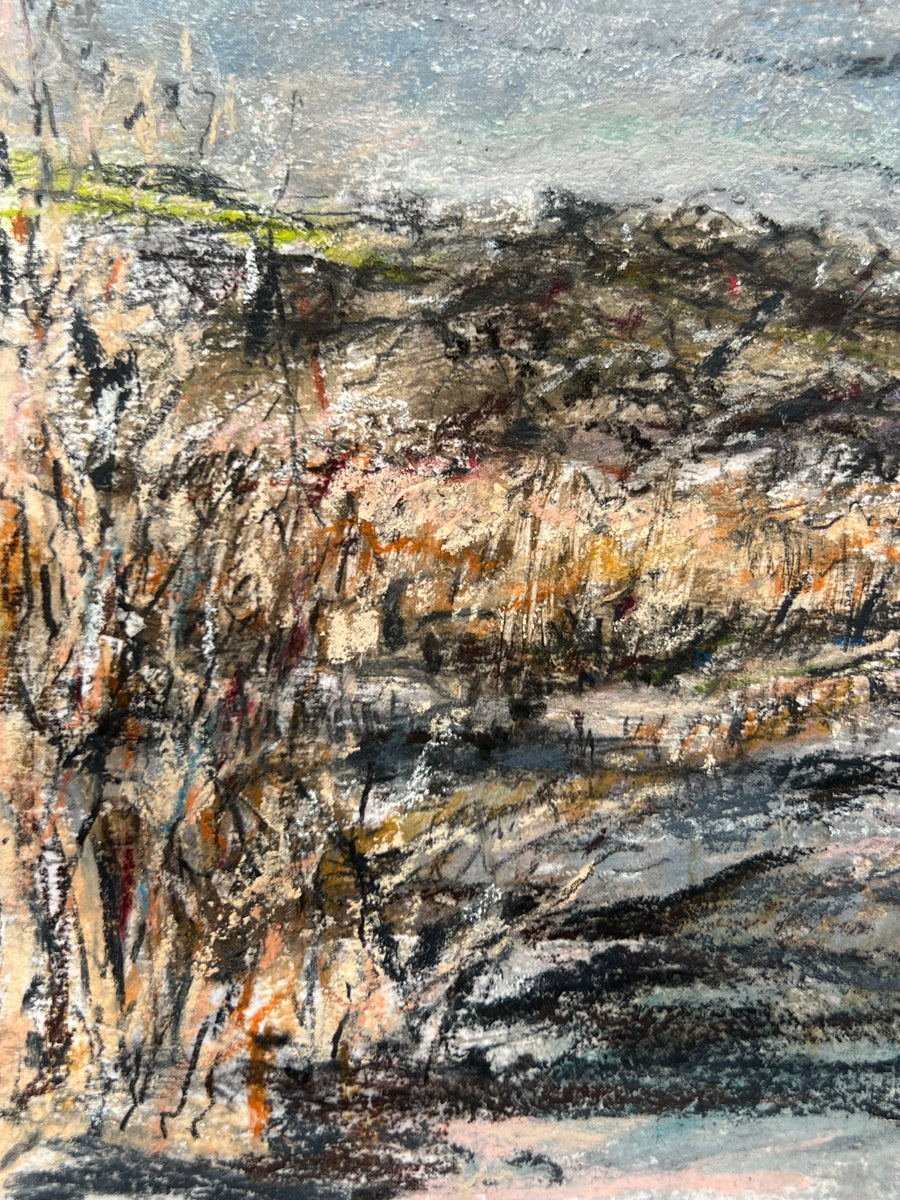 Midwinter Marsh