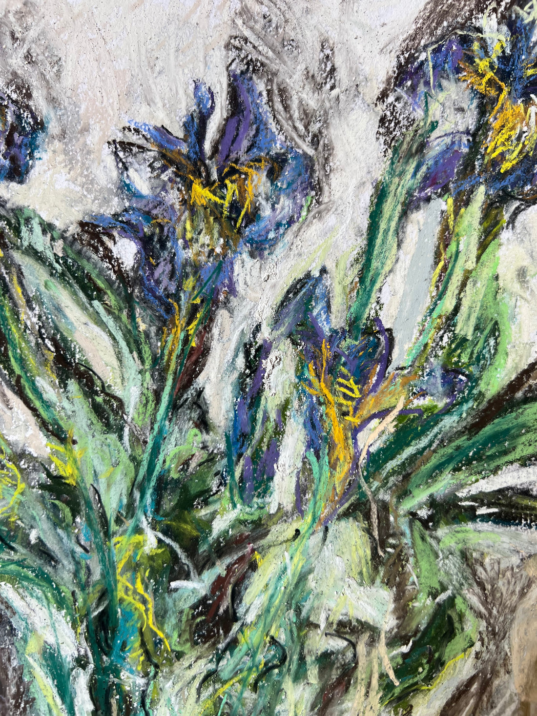 Salvia and the Siberian Irises.