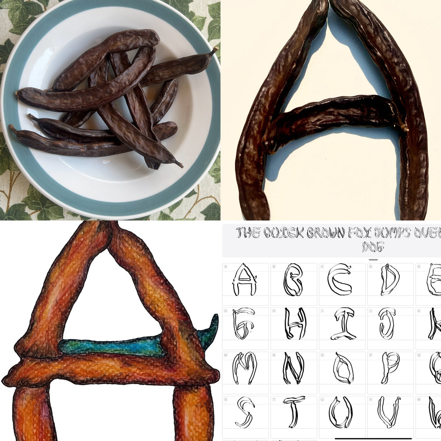Alphabet