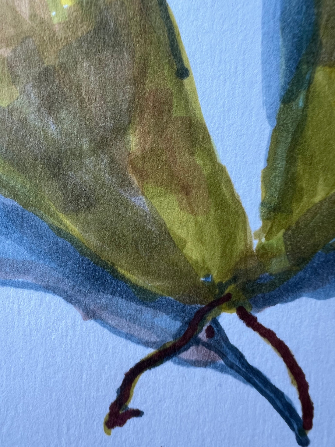 Pear Conference | Ivan Grieve artist | Originals, Prints & Limited Edition Art