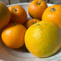 Oranges in a white bowl 
