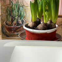 February Bud Formation | Ivan Grieve artist | Originals, Prints & Limited Edition Art