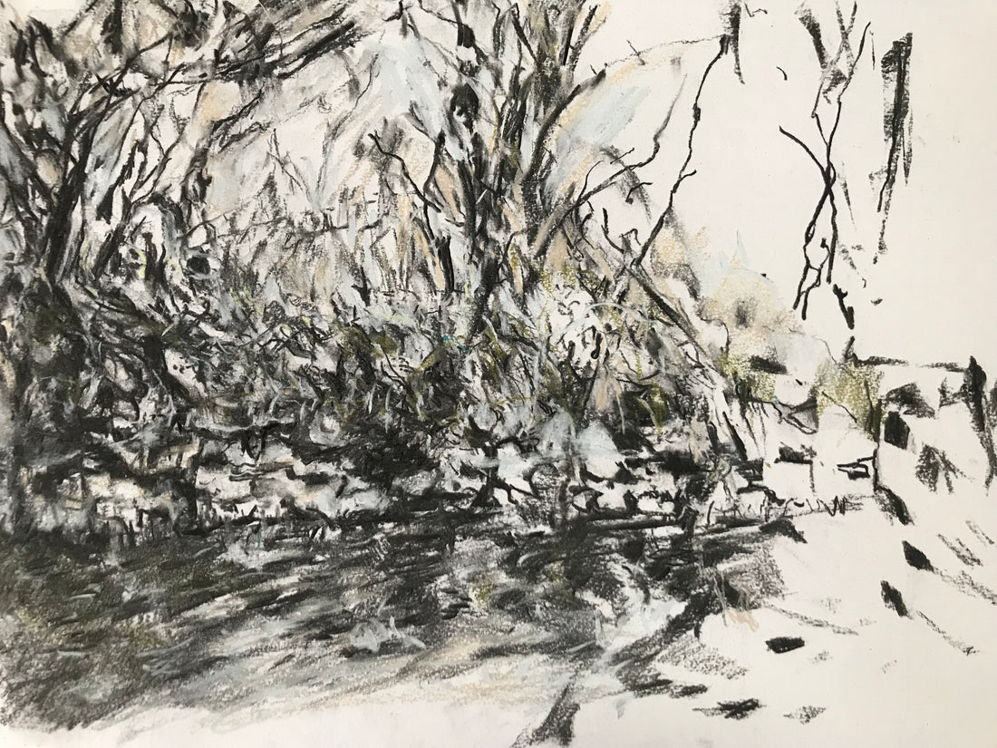 A Saltmarsh Collaboration